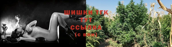 МДМА Белокуриха