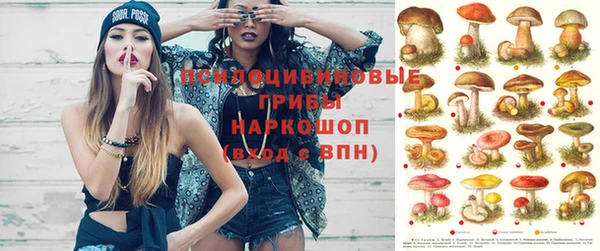 МДМА Белокуриха