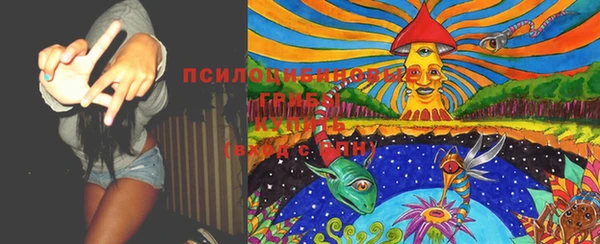МДМА Белокуриха