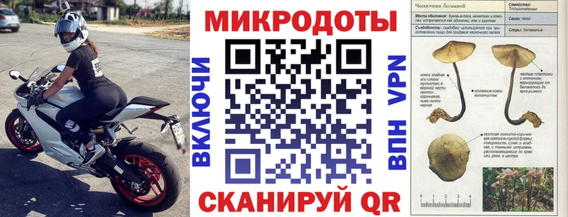 Галлюциногенные грибы ЛСД  Тырныауз 